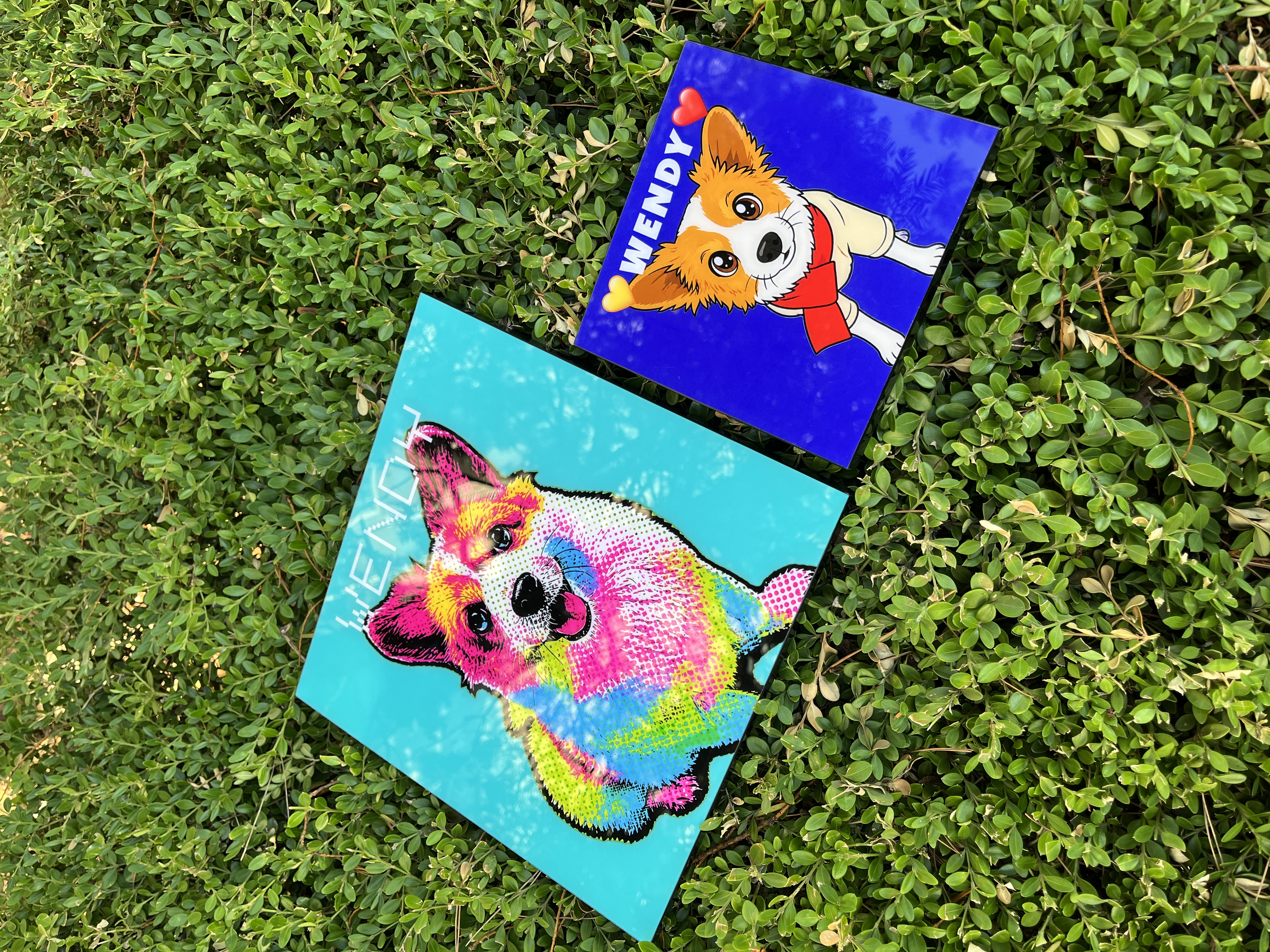 실제 아크릴 액자 - 25cm Pop Art