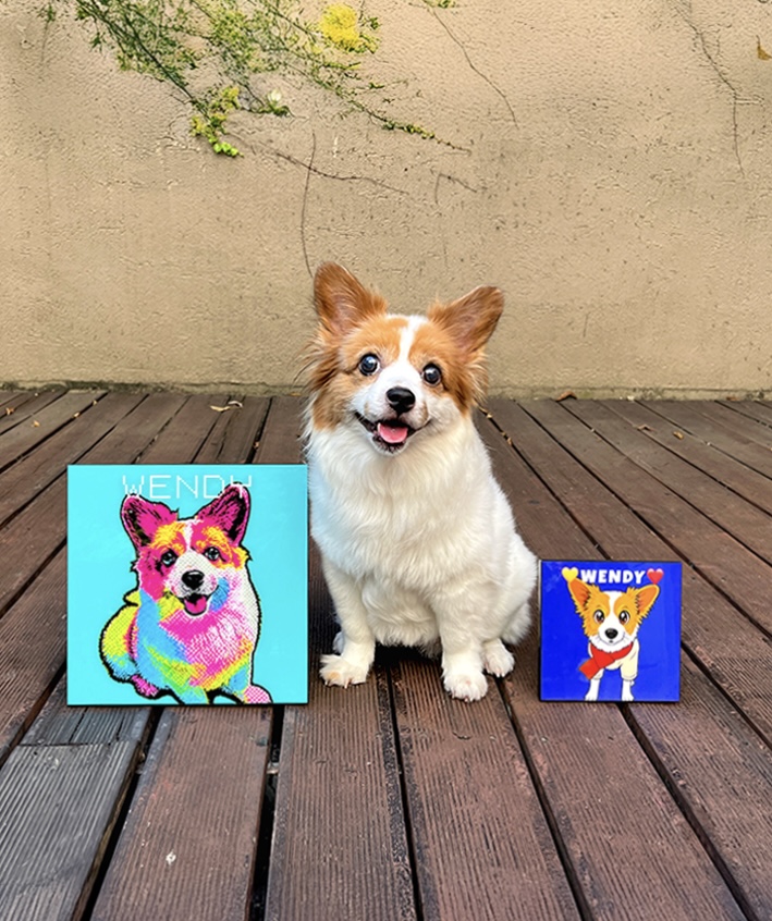 실제 아크릴 액자 - 25cm Pop Art + 15cm Cartoon